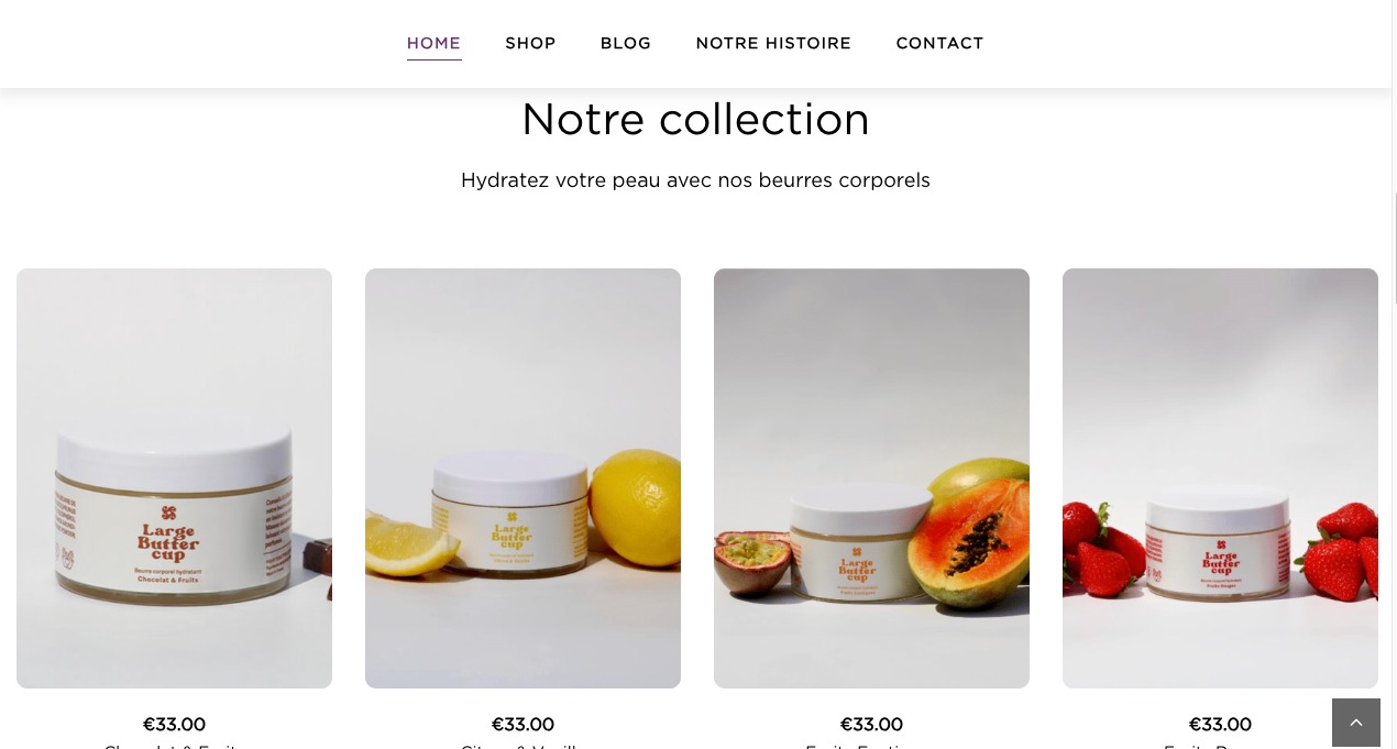 portfolio-details-fig