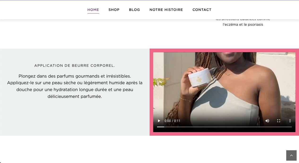 portfolio-details-fig